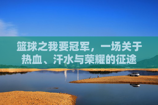 篮球之我要冠军，一场关于热血、汗水与荣耀的征途