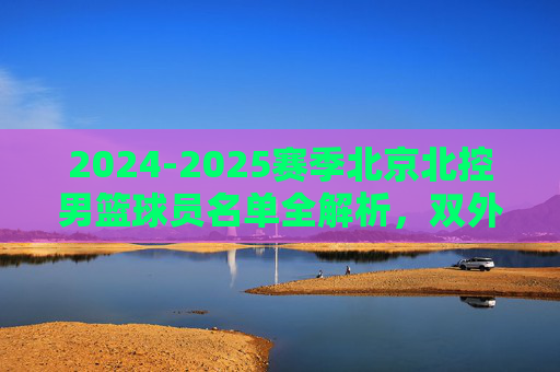2024-2025赛季北京北控男篮球员名单全解析，双外援领衔，许利民执教新篇章