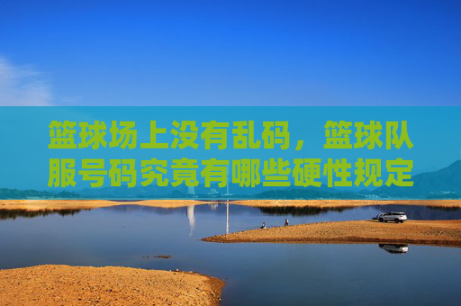 篮球场上没有乱码，篮球队服号码究竟有哪些硬性规定？