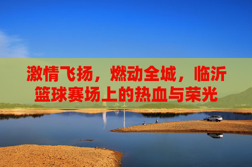 激情飞扬，燃动全城，临沂篮球赛场上的热血与荣光