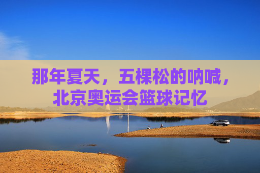 那年夏天，五棵松的呐喊，北京奥运会篮球记忆