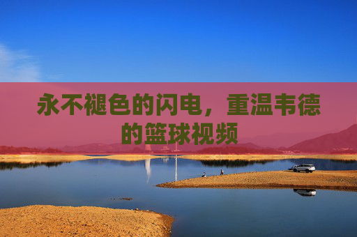 永不褪色的闪电，重温韦德的篮球视频