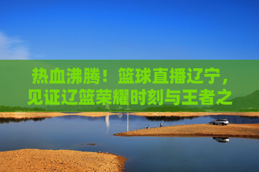 热血沸腾！篮球直播辽宁，见证辽篮荣耀时刻与王者之路