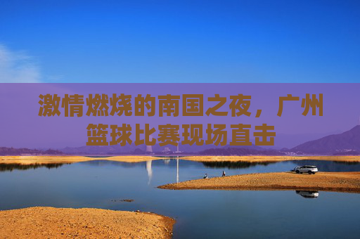 激情燃烧的南国之夜，广州篮球比赛现场直击