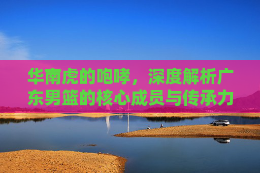华南虎的咆哮，深度解析广东男篮的核心成员与传承力量