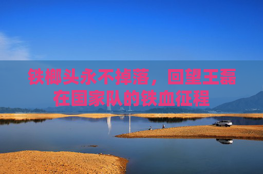 铁榔头永不掉落，回望王磊在国家队的铁血征程