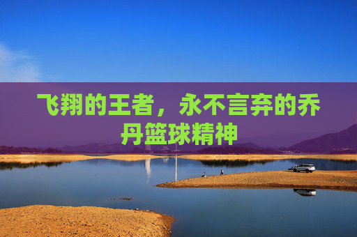 飞翔的王者，永不言弃的乔丹篮球精神