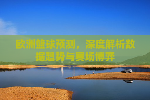 欧洲篮球预测，深度解析数据趋势与赛场博弈