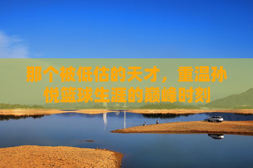 那个被低估的天才，重温孙悦篮球生涯的巅峰时刻