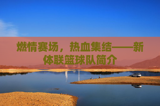 燃情赛场，热血集结——新体联篮球队简介