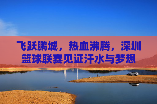飞跃鹏城，热血沸腾，深圳篮球联赛见证汗水与梦想
