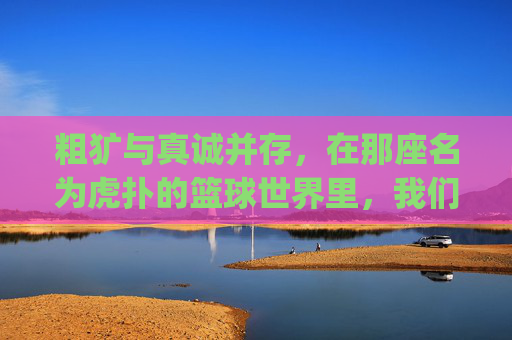 粗犷与真诚并存，在那座名为虎扑的篮球世界里，我们都是JR