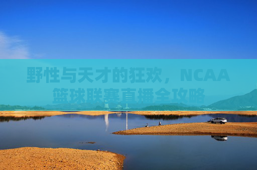 野性与天才的狂欢,NCAA篮球联赛直播全攻略