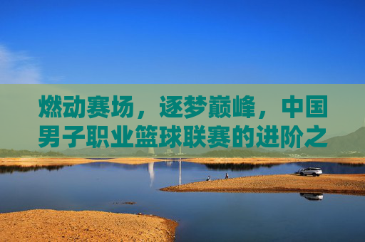 燃动赛场，逐梦巅峰，中国男子职业篮球联赛的进阶之路