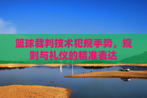 篮球裁判技术犯规手势，规则与礼仪的精准表达