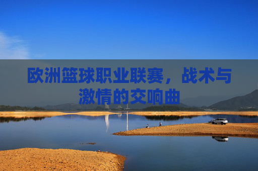 欧洲篮球职业联赛，战术与激情的交响曲