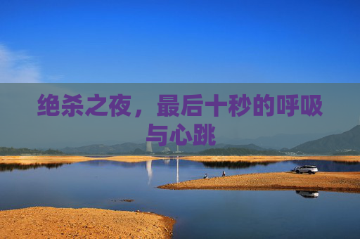 绝杀之夜，最后十秒的呼吸与心跳