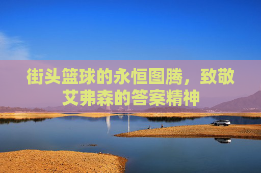 街头篮球的永恒图腾，致敬艾弗森的答案精神