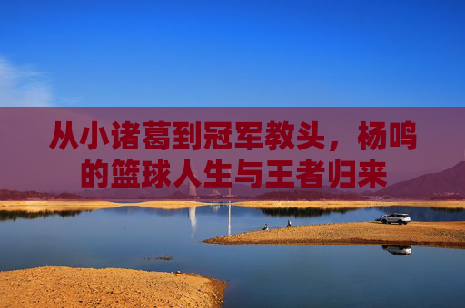 从小诸葛到冠军教头，杨鸣的篮球人生与王者归来