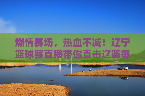 燃情赛场，热血不减！辽宁篮球赛直播带你直击辽篮每一刻