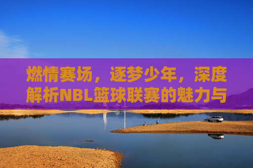 燃情赛场，逐梦少年，深度解析NBL篮球联赛的魅力与未来