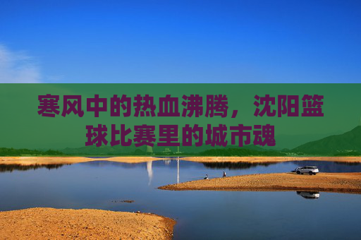 寒风中的热血沸腾，沈阳篮球比赛里的城市魂