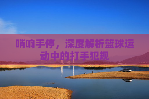 哨响手停，深度解析篮球运动中的打手犯规