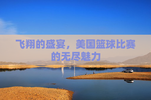 飞翔的盛宴，美国篮球比赛的无尽魅力