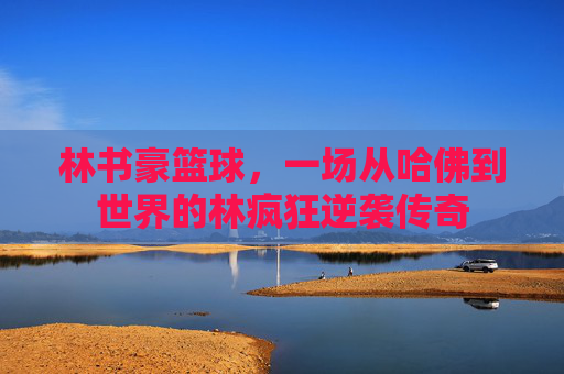 林书豪篮球，一场从哈佛到世界的林疯狂逆袭传奇