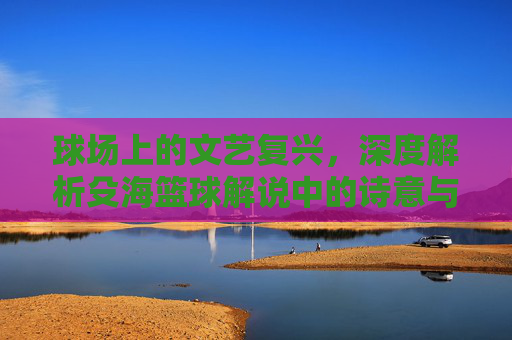 球场上的文艺复兴，深度解析殳海篮球解说中的诗意与理性