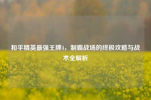和平精英最强王牌4，制霸战场的终极攻略与战术全解析