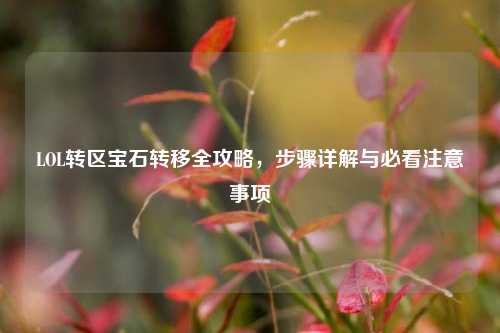 LOL转区宝石转移全攻略，步骤详解与必看注意事项