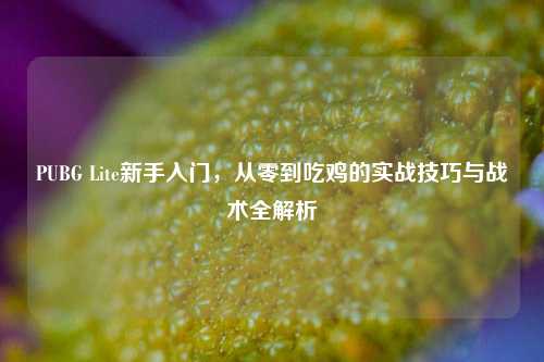 PUBG Lite新手入门，从零到吃鸡的实战技巧与战术全解析