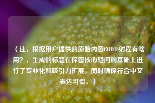 （注，根据用户提供的原始内容COD16射程有啥用？，生成的标题在保留核心疑问的基础上进行了专业化和吸引力扩展，同时确保符合中文表达习惯。）