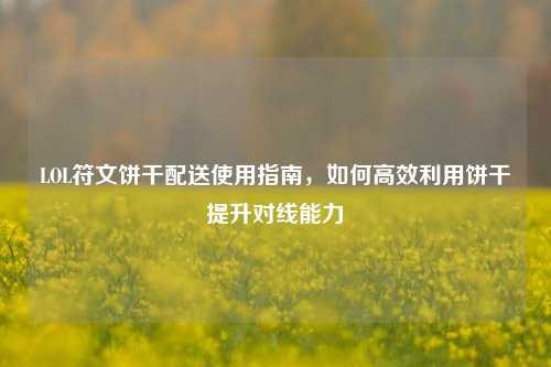 LOL符文饼干配送使用指南，如何高效利用饼干提升对线能力