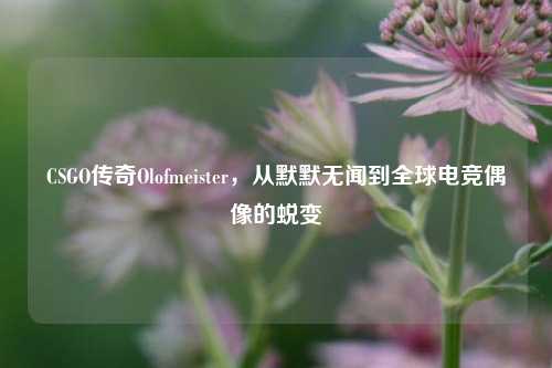 CSGO传奇Olofmeister，从默默无闻到全球电竞偶像的蜕变