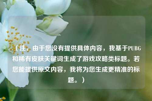 （注，由于您没有提供具体内容，我基于PUBG和稀有皮肤关键词生成了游戏攻略类标题。若您能提供原文内容，我将为您生成更精准的标题。）