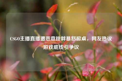 CSGO主播直播遭恶意挑衅暴怒掀桌，网友热议游戏底线引争议