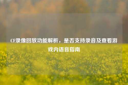 CF录像回放功能解析，是否支持录音及查看游戏内语音指南