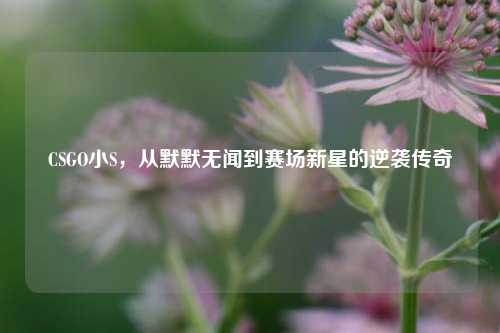 CSGO小S，从默默无闻到赛场新星的逆袭传奇