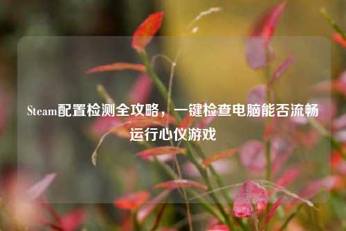 Steam配置检测全攻略,一键检查电脑能否流畅运行心仪游戏