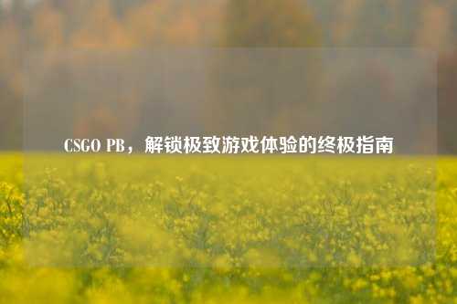 CSGO PB，解锁极致游戏体验的终极指南