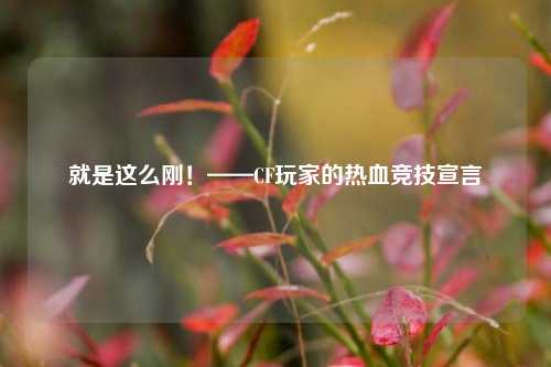 就是这么刚！——CF玩家的热血竞技宣言