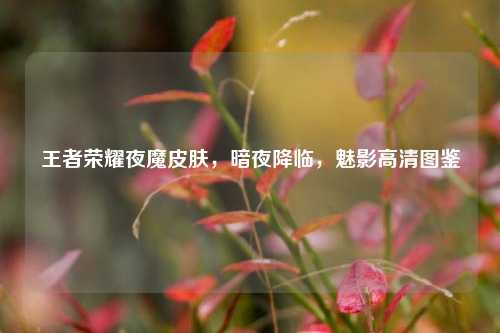 王者荣耀夜魔皮肤，暗夜降临，魅影高清图鉴