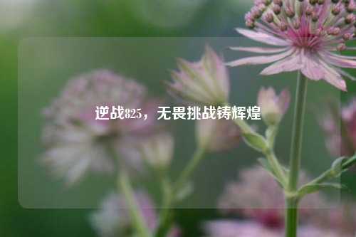 逆战825，无畏挑战铸辉煌