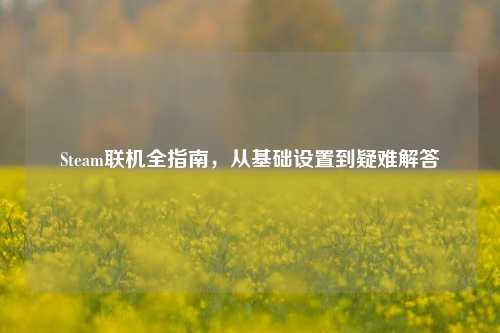 Steam联机全指南,从基础设置到疑难解答