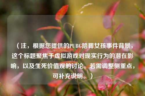(注,根据您提供的PUBG陪葬女孩事件背景,这个标题聚焦于虚拟游戏对现实行为的潜在影响,以及生死价值观的讨论。若需调整侧重点,可补充说明。)