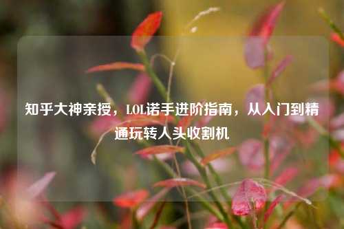 知乎大神亲授,LOL诺手进阶指南,从入门到精通玩转人头收割机