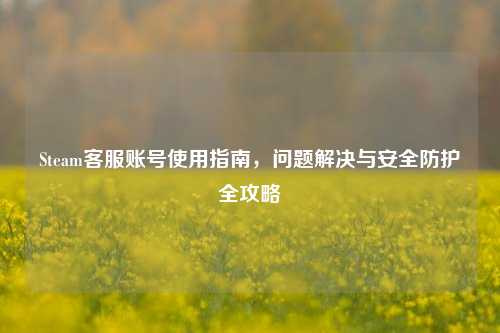 Steam客服账号使用指南，问题解决与安全防护全攻略