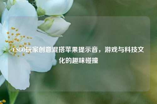 CSGO玩家创意混搭苹果提示音,游戏与科技文化的趣味碰撞